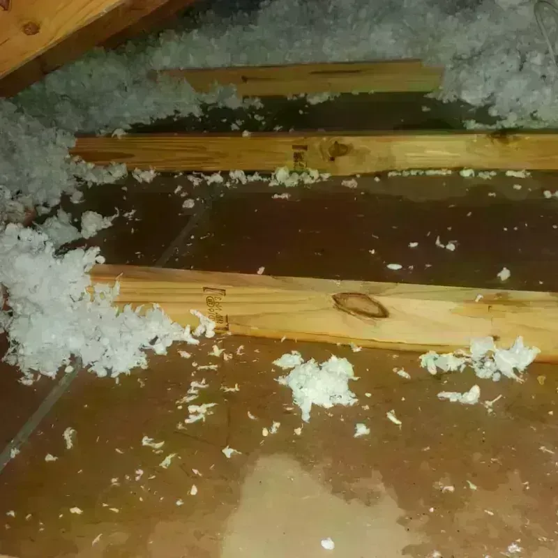 Attic Water Damage in Fulton, MS