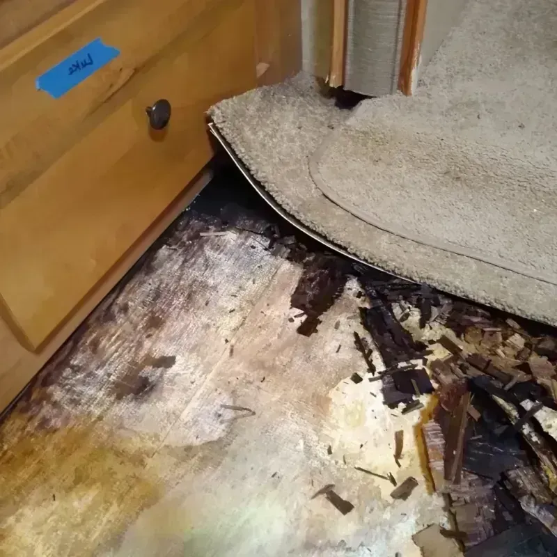 Wood Floor Water Damage in Fulton, MS